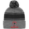 Pom Pom Roll Up Panel Beanies Thumbnail